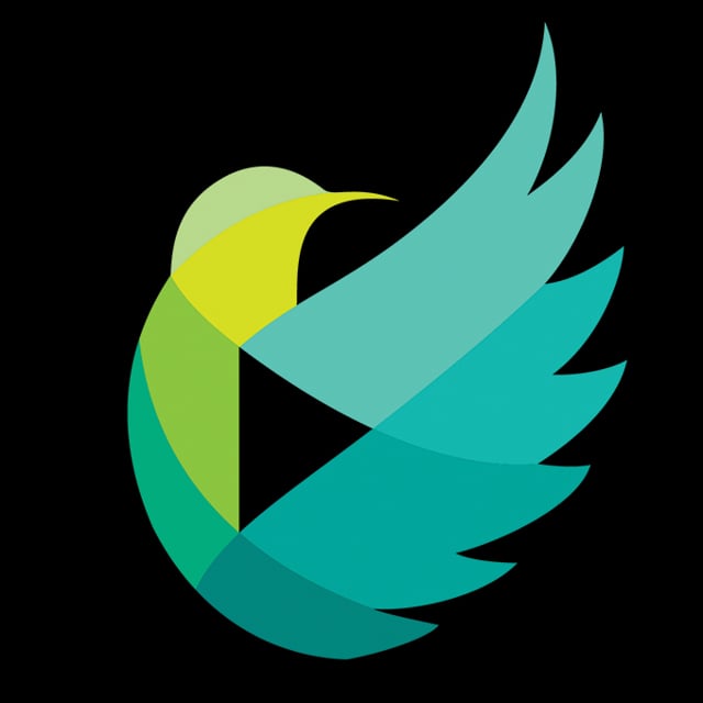 Early Bird Studios - Video Editor, Video Producer & Content Development