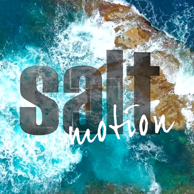 salt motion