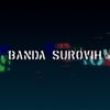 Banda Surovih