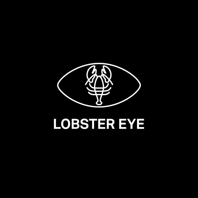 LOBSTER EYE