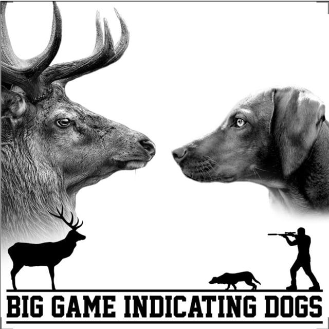 Big Game Indicating Dogs