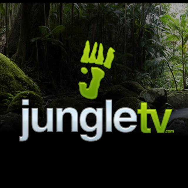 JungleTV