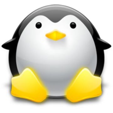 Vimeo profile picture for @server