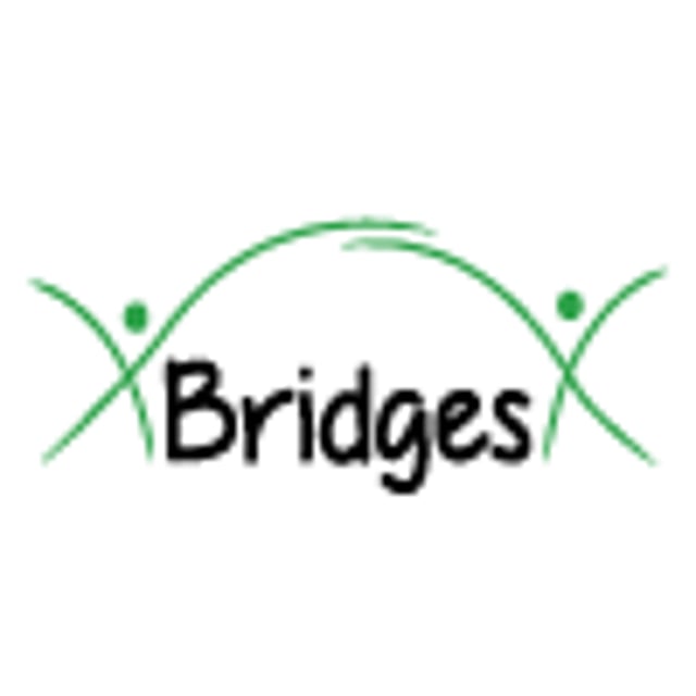 bridges to academic writing download