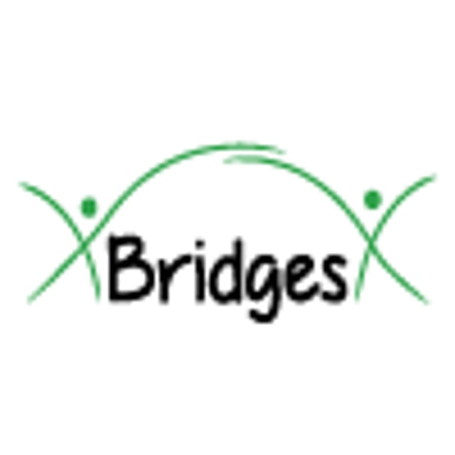 Bridges to Academic Success