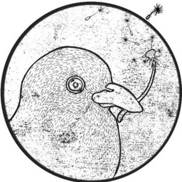 Vimeo profile picture for @kabir