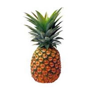 Profile picture for Patrick Cruz
