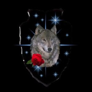 wolves and roses on Vimeo