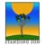 Standing Sun Productions