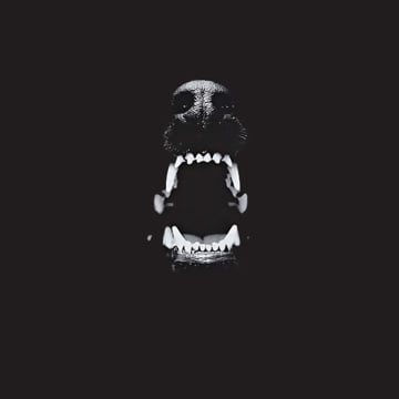 Vimeo profile picture for @fangs