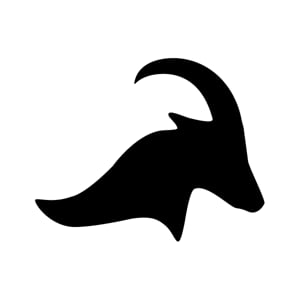 Logotyp för einride