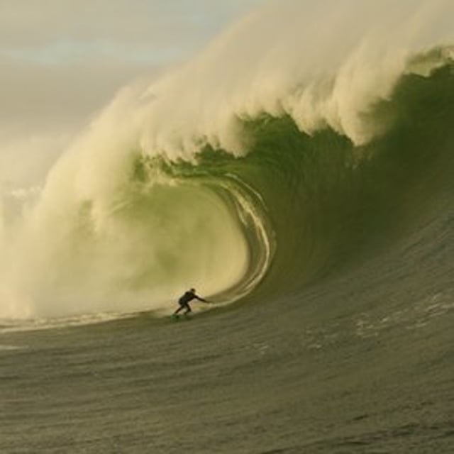 Tom Lowe