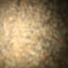 rashed763336