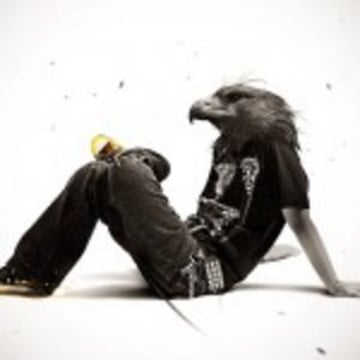 Vimeo profile picture for @birdie