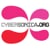 Cybersonica