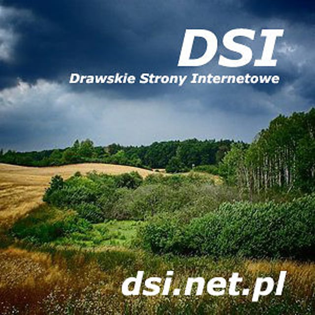 Drawskie Strony Internetowe