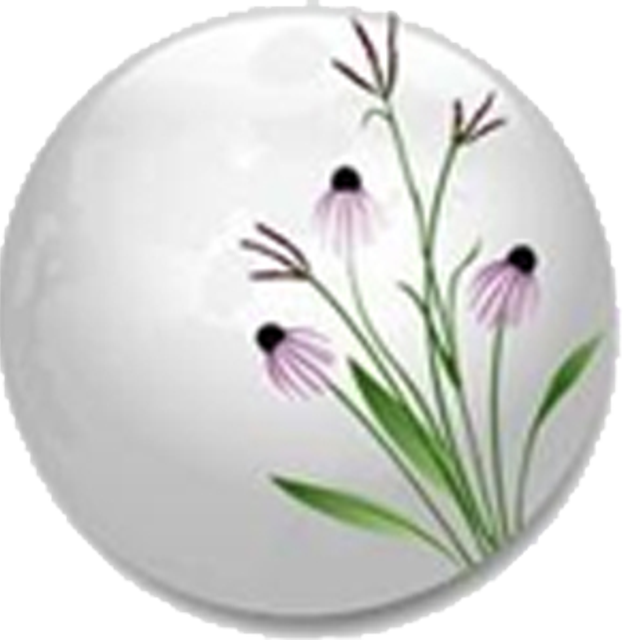 Prairie Moon Nursery