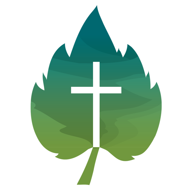 The Vine Baptist Church