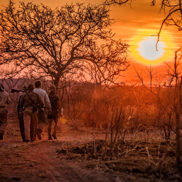 Tanzania Big Game Safaris