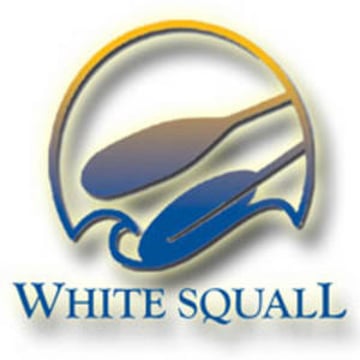 Vimeo profile picture for @squall