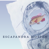 Escafandra Motion