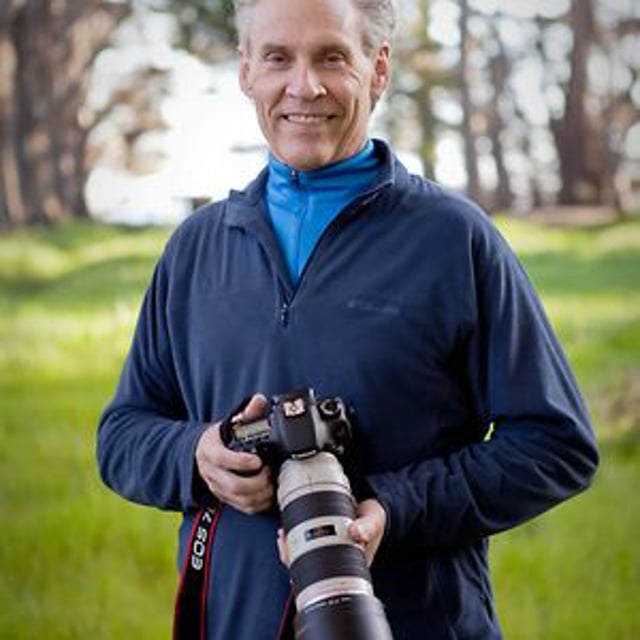 Tom Adams