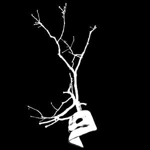 Profile picture for il_bramante