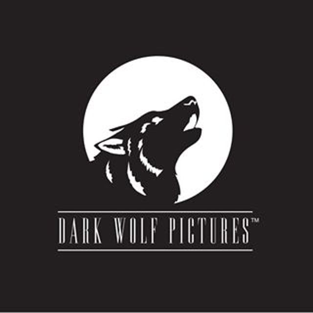 dark wolf collectables