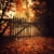 Autumn Gate