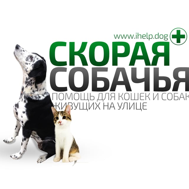 Help dogs. Скор собаки. Эмблема скор собаки. Брат дога. BGS скор собаки.