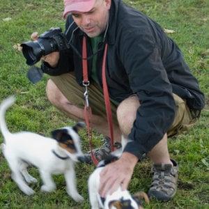 Profile picture for Dan Roy