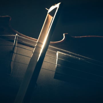 Vimeo profile picture for @validate