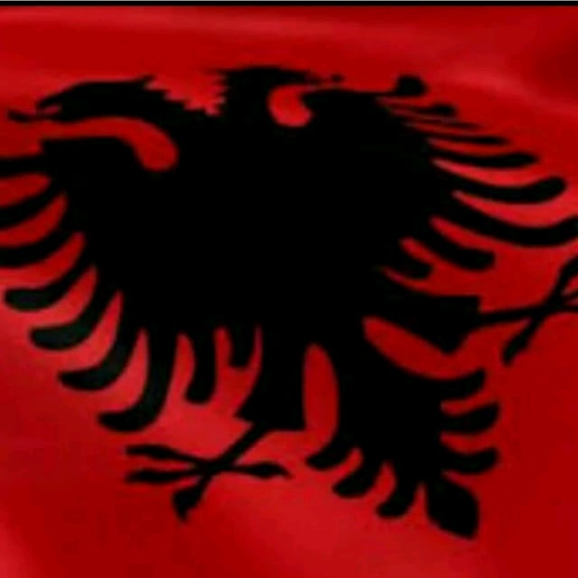 флаг шумеров. красный флаг с черной птицей. флаг римской империи коммунизм. герб района сокол москва. феникс ссср.