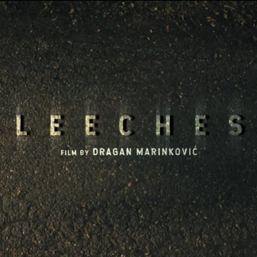 Vimeo profile picture for @leeches