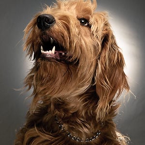Profile picture for matt buedel