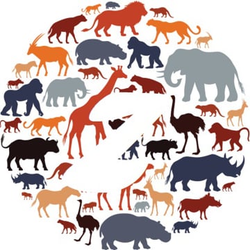 Vimeo profile picture for @zoology