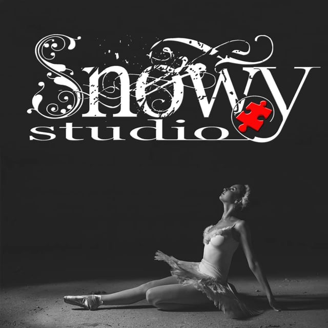 Snowy Studio
