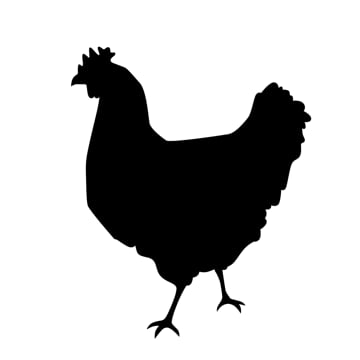 Vimeo profile picture for @eggs