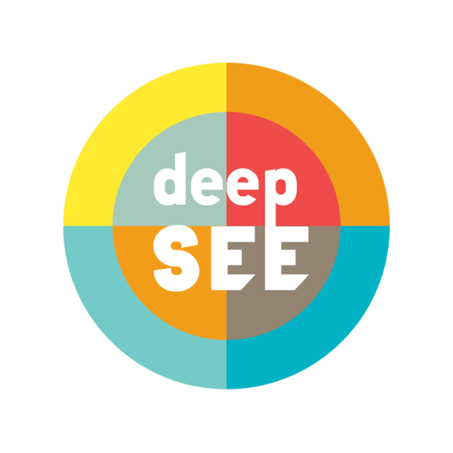 deepSEE Consulting