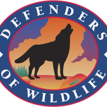 Vimeo profile picture for @defenders