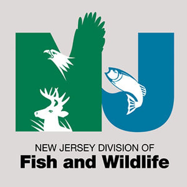 NJ Division of Fish & Wildlife