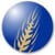 Life Media Resources