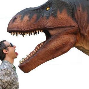 Profile picture for Tom Huckabee