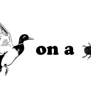 Junebug Duck Duck On A Junebug on Vimeo
