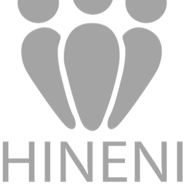 Hineni Serviços Terceirizados