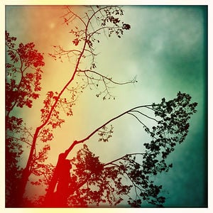 Profile picture for blausphoto