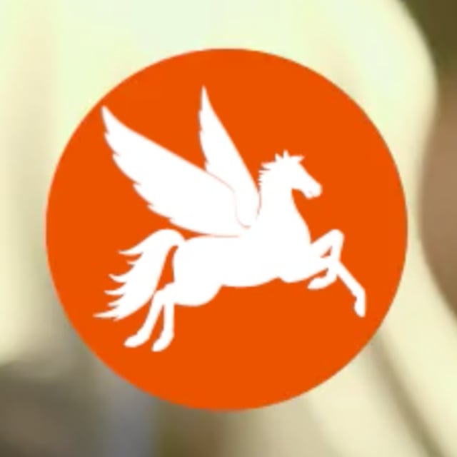 tsume pegasus