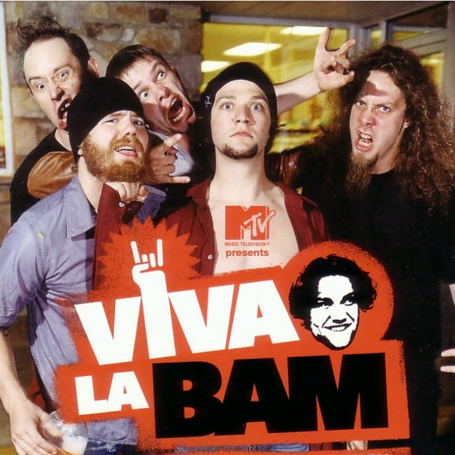 Viva la bam discount full episodes free