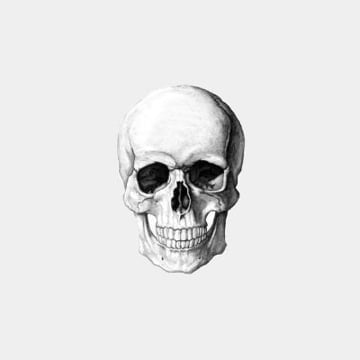 Vimeo profile picture for @bod