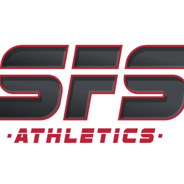 Sfs md. SFS игра. Fe logo. SFS electricity Pack.